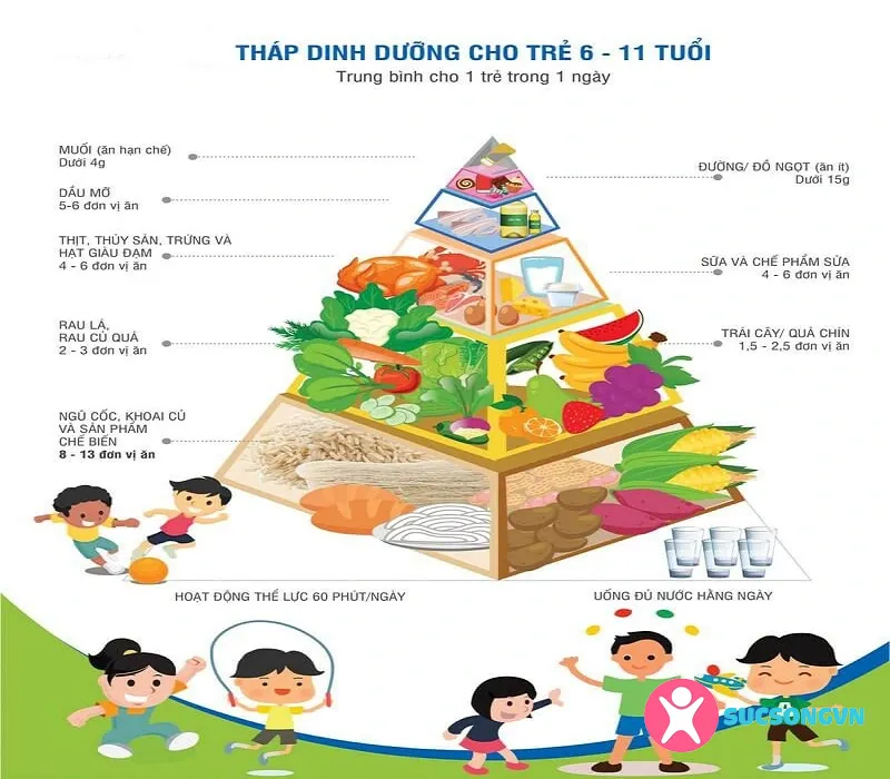 Tìm hiểu về tháp dinh dưỡng dành cho trẻ em