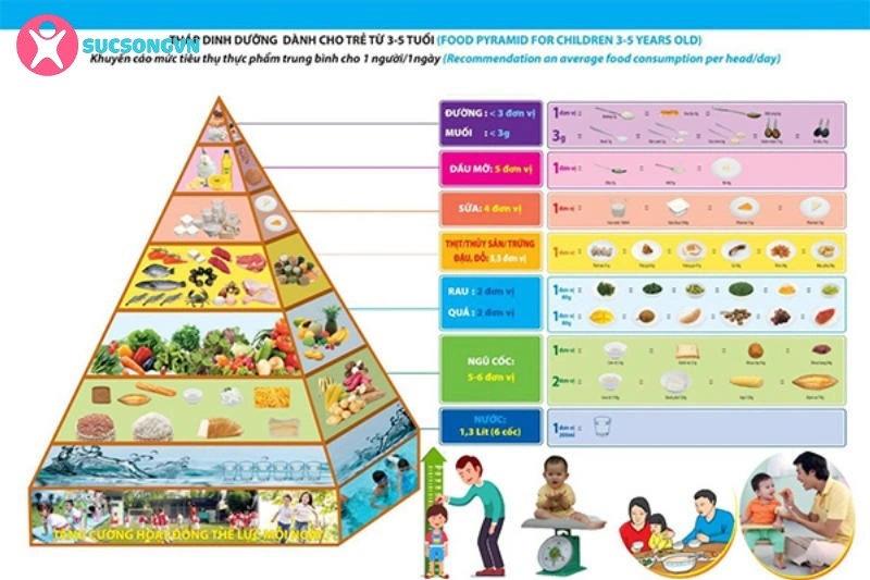 Những nhóm thực phẩm chính có trong tháp dinh dưỡng cho trẻ mầm non