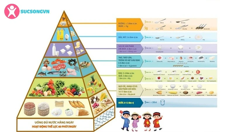 Cấu trúc tháp dinh dưỡng cho trẻ 6-11 tuổi: Bí quyết xây dựng một chế độ ăn uống cân bằng